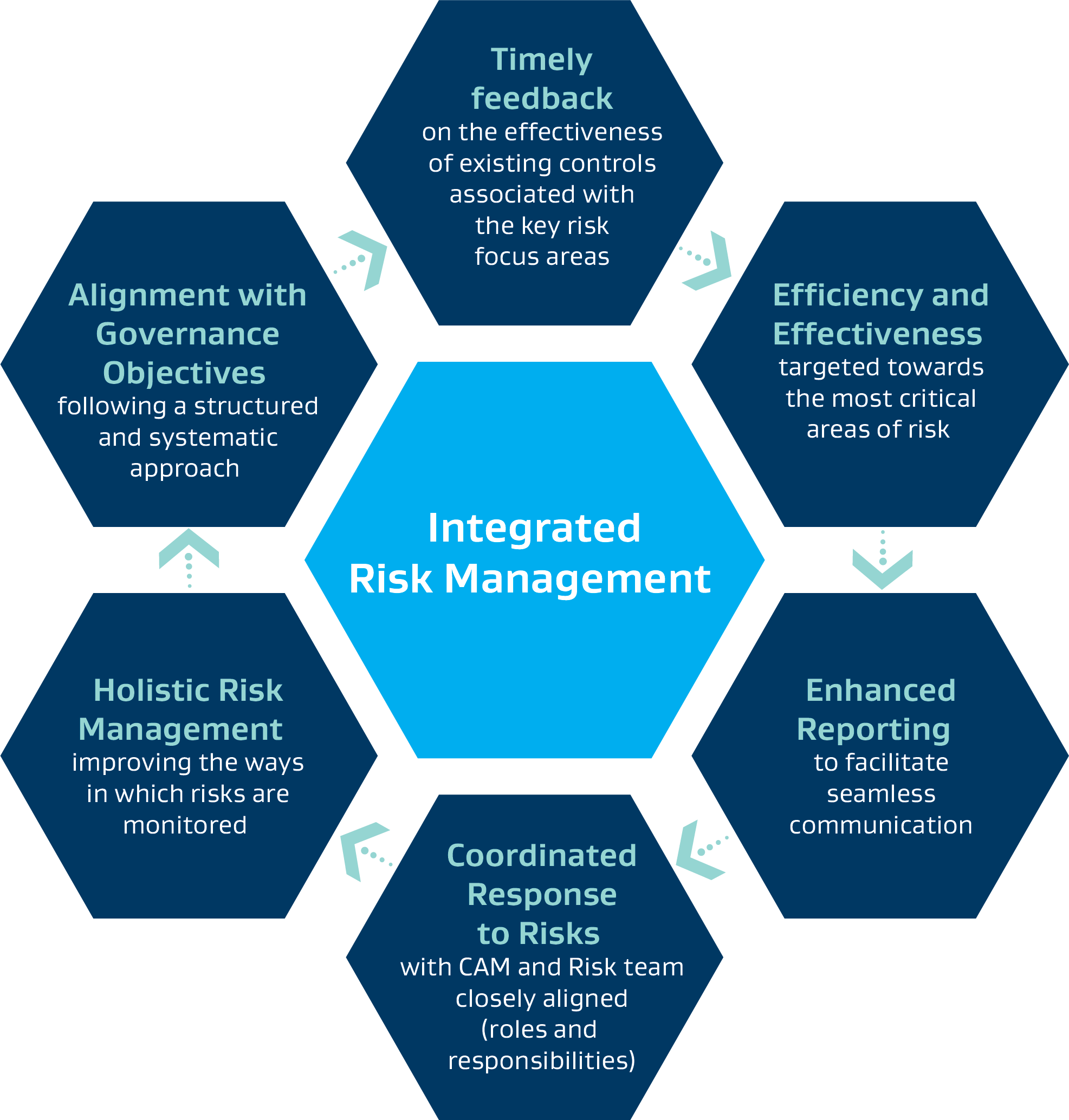 Integrated Risk Management diagram