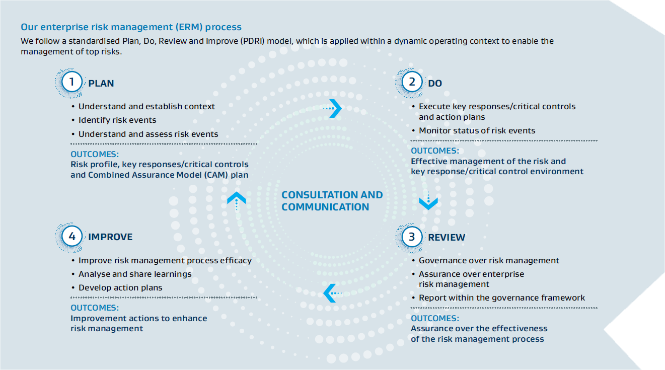 ERM Process Diagram