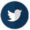 twitter-icon-blue