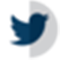 twitter-icon